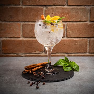 Gin Tônica